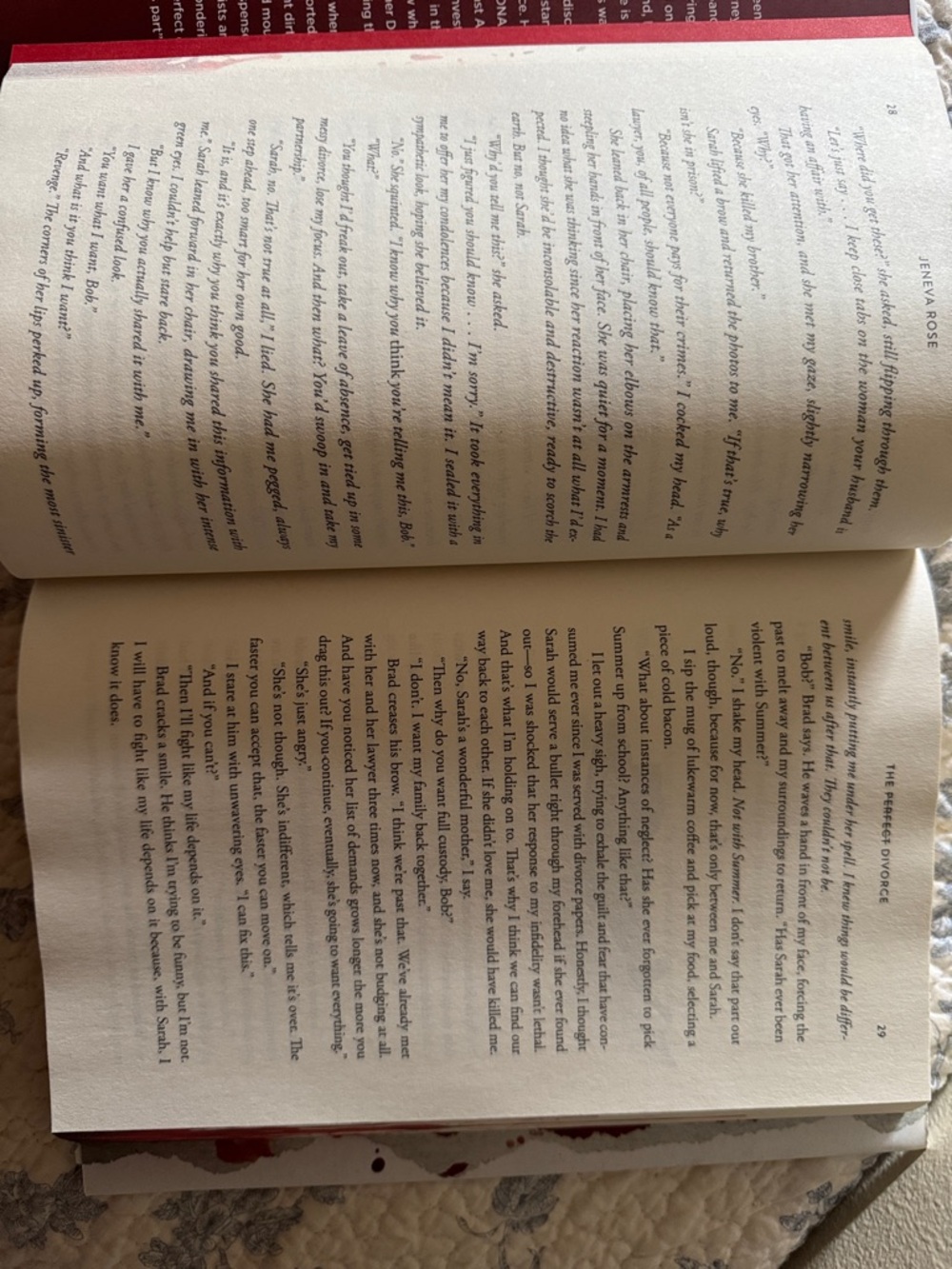 THE PERFECT DIVORCE BOOK NOVEL READ BEST SELLING LIKE NEW HARD COVER - Picture 5 of 6